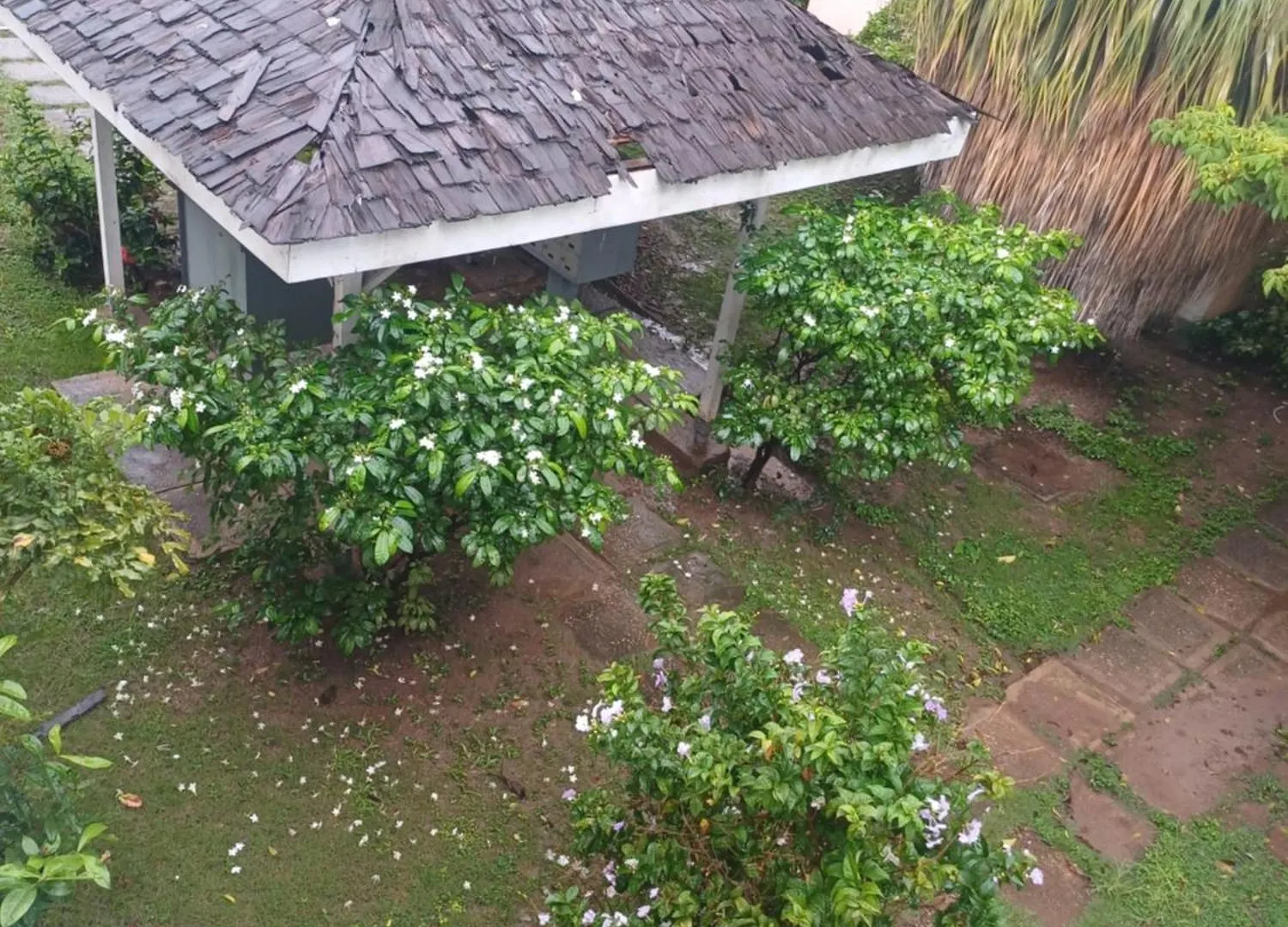 Apartamento The Braemar All Suite Kingston